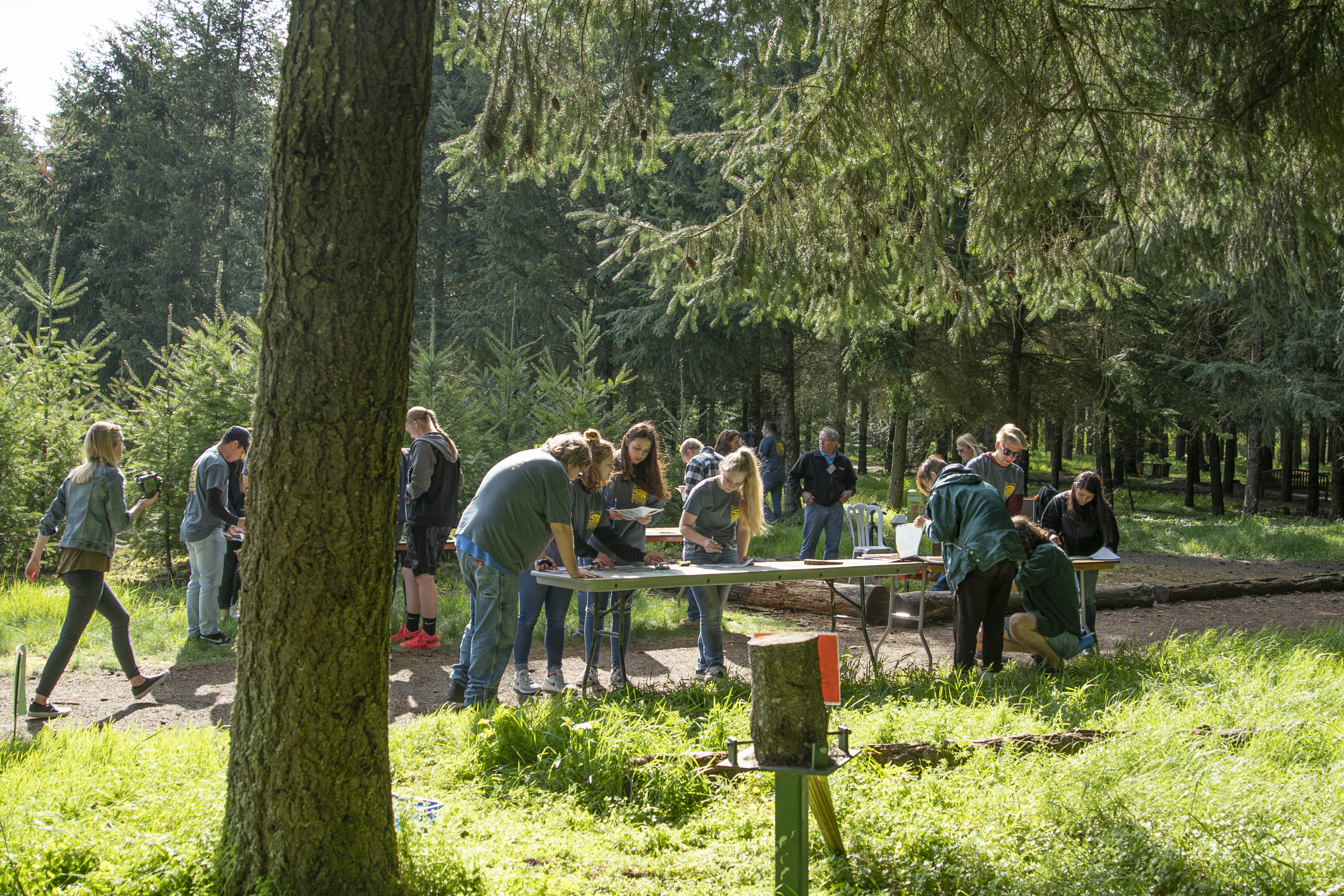 Students participate in an outdoor environmental activity, working in groups at tables set up in a sunlit forest clearing.