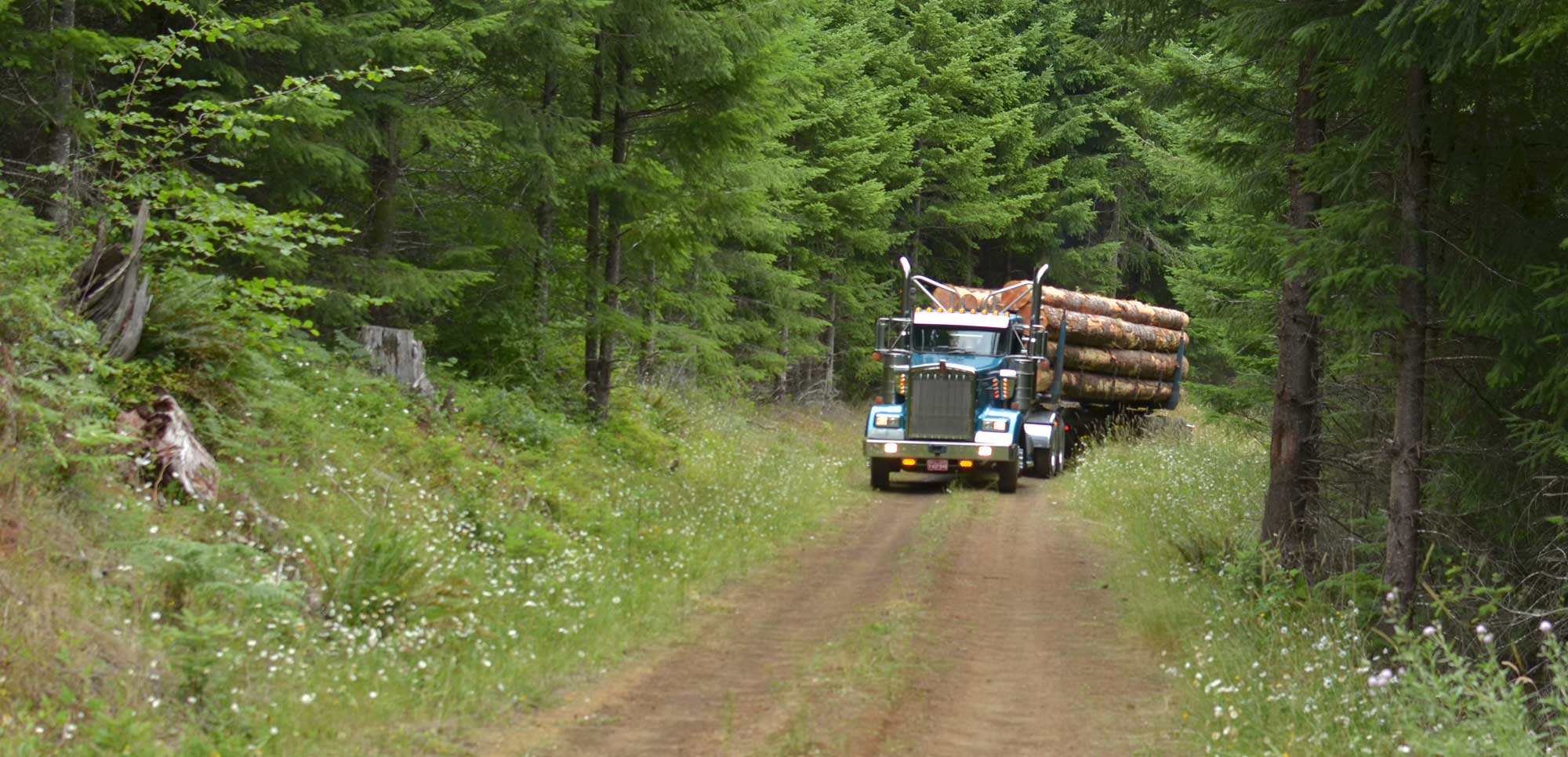 Log truck leaving the forest