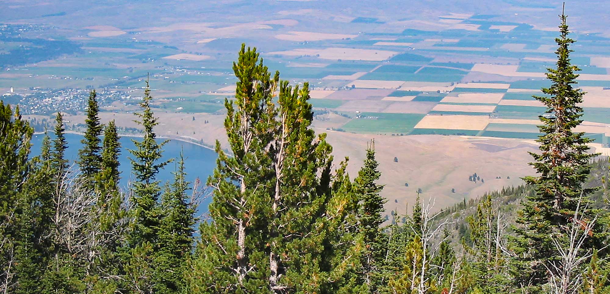 Wallowa from the top