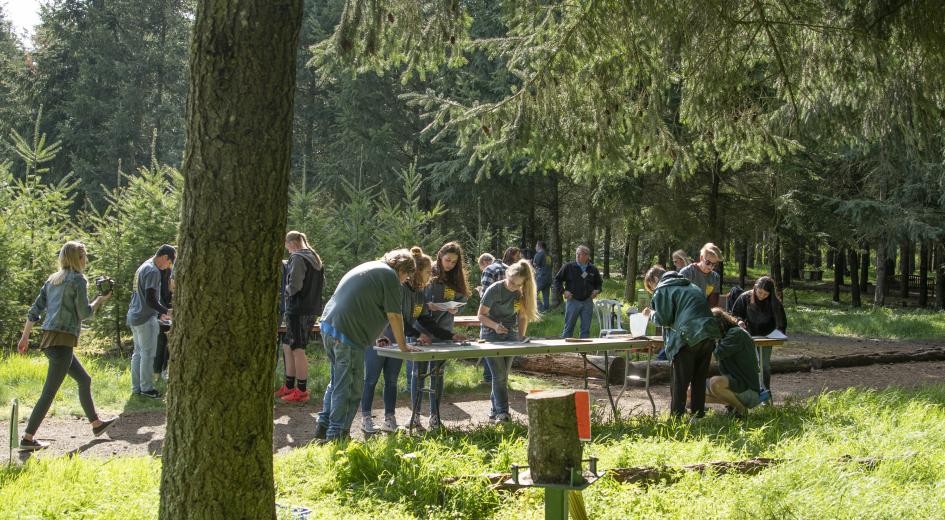 Students participate in an outdoor environmental activity, working in groups at tables set up in a sunlit forest clearing.
